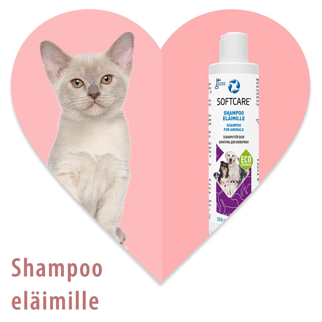 Softcare Shampoo eläimille 250 ml